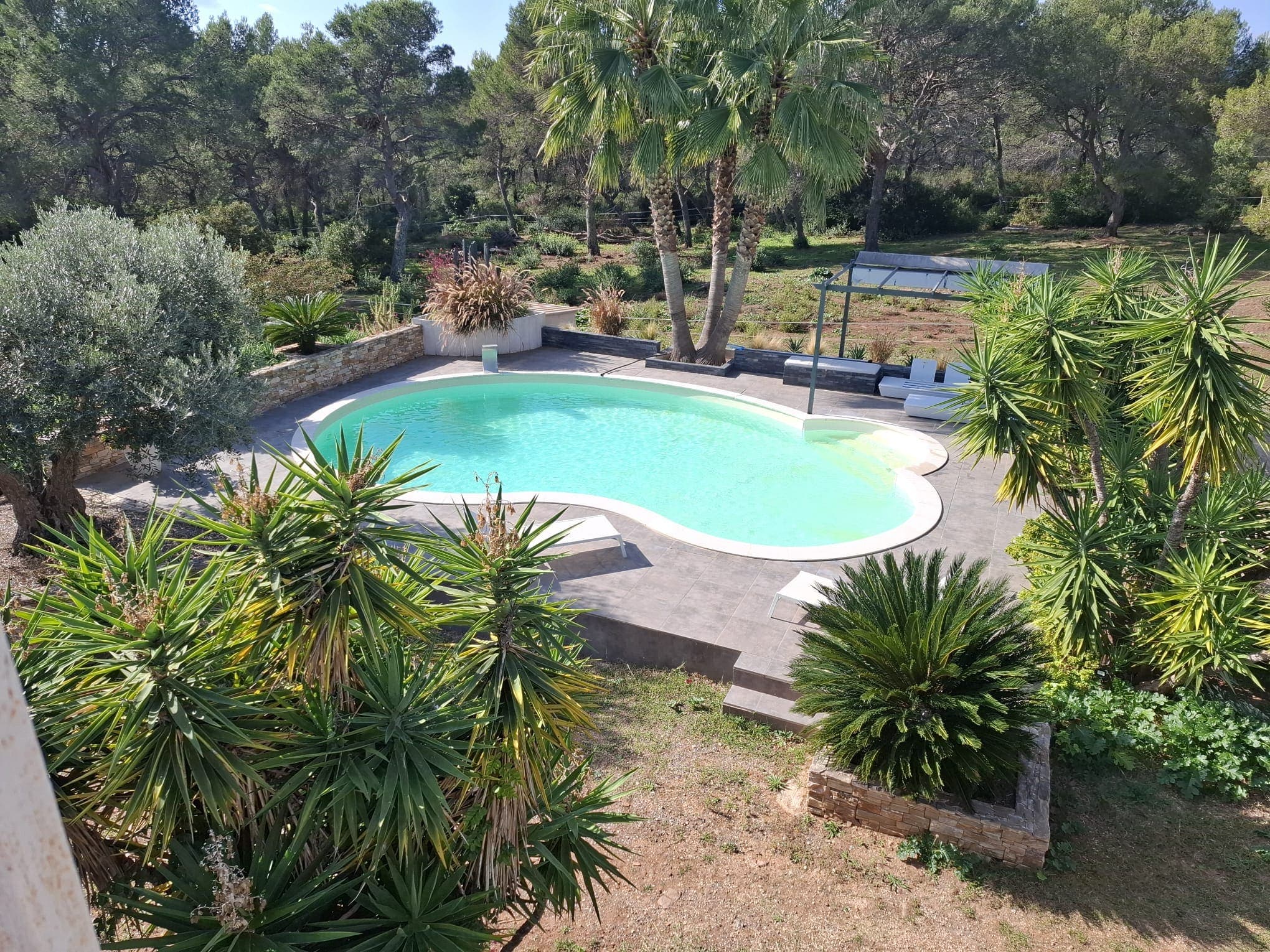 Piscine ovale — vue aérienne